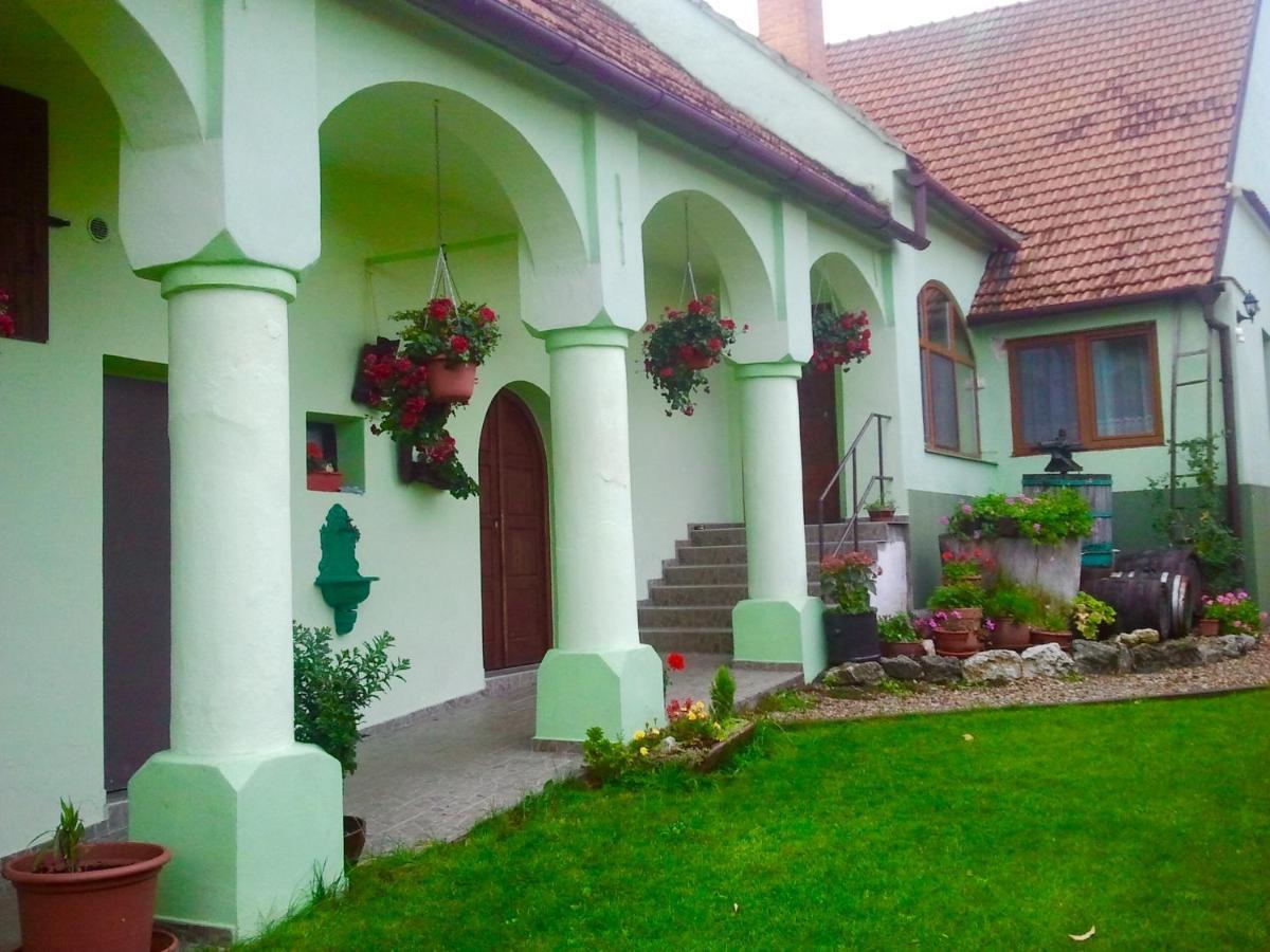 Hotel Na úpatí Pálavy Horni Vestonice Exterior foto